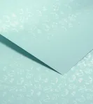 Kartonas Little Rose soft blue ( 20 vnt.)