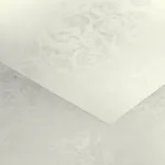 Kartonas Rose white ( 20 vnt.)