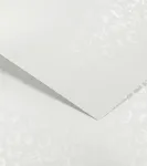 Kartonas Little Rose white (20 vnt.)