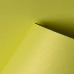 Dekoratyvinis kartonas Piruet XC light green A4 (20 vnt)