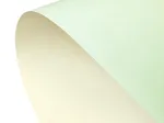Kartonas Prime green/ivory ( 20 vnt.)