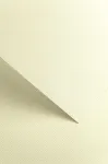 Dekoratyvinis kartonas Floryda ivory ( 20 vnt.)