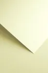 Kartonas Plotno ivory ( 20 vnt.)