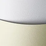 Kartonas Borneo ivory ( 20 vnt.)