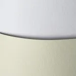 Kartonas Skora white ( 20 vnt.)