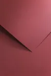 Kartonas Floryda bordeaux (20 vnt.), bordo