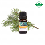 PU&Scaron;Ų ALIEJUS