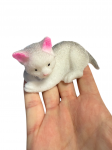 Letenėlės serija squishy katinas