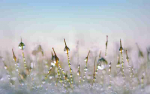 Fototapetai Abstrakcija 1118; 200x270cm, 300x270cm, 400x270cm