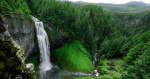 Fototapetai Gamta 1034; 200x270cm, 300x270cm, 400x270cm