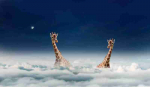 Fototapetai Fantastika 1088; 200x270cm, 300x270cm, 400x270cm
