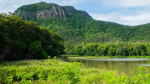Fototapetai Gamta 1435; 200x270cm, 300x270cm, 400x270cm