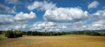 Fototapetai Gamta 1540; 200x270cm, 300x270cm, 400x270cm