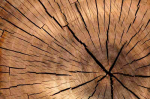 Fototapetai Abstrakcija 1126; 200x270cm, 300x270cm, 400x270cm
