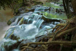 Fototapetai Gamta 1045; 200x270cm, 300x270cm, 400x270cm