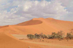 Fototapetai Gamta 1145; 200x270cm, 300x270cm, 400x270cm