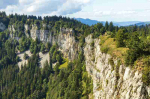 Fototapetai Gamta 1054; 200x270cm, 300x270cm, 400x270cm