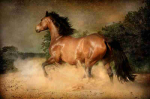 Fototapetai Gyvūnai 1160; 200x270cm, 300x270cm, 400x270cm