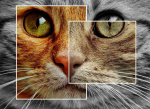 Fototapetai Paveikslai 1056; 200x270cm, 300x270cm, 400x270cm