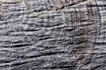 Fototapetai Abstrakcija 1272; 200x270cm, 300x270cm, 400x270cm