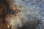 Fototapetai Abstrakcija 1006; 200x270cm, 300x270cm, 400x270cm