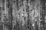 Fototapetai Abstrakcija 1007; 200x270cm, 300x270cm, 400x270cm