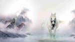 Fototapetai Gyvūnai 1224; 200x270cm, 300x270cm, 400x270cm