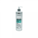 KORBAN BIOPLASTIA CAPILAR &ndash; DETOKSIKUOJANTIS &Scaron;AMPŪNAS 500 ML