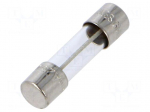 Fuse: fuse | 500mA | 250VAC | time-lag | cylindrical,glass | 5x20mm | GMD