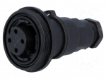 Connector: circular | plug | female | PIN: 4 | Buccaneer Standard | IP68