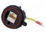 Coupler | 0.8m | Buccaneer Ethernet | PIN: 8 | with earthing | 1.5A
