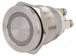 Switch: vandal resistant | Pos: 2 | SPST-NO | 0.5A/220VAC | 2A/36VDC