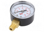 Manometer | 0&divide;10bar | bottom connection | Thread: G 1/8" external