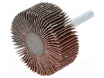Grinding pin | Granularity: 60 | Holder: plunger | 6mm | flap
