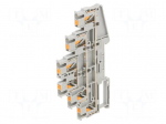 Splice terminal: rail | PT | 20A | 800V | for DIN rail mounting | grey