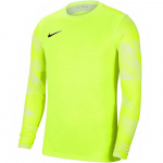 Nike Dry Park IV JSY LS GK JUNIOR Lime Goalkeeper Sweatshirt CJ6072 702 XS