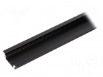 Profiles for LED modules | recessed | black | L: 2m | aluminium