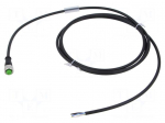 Cable: for sensors/automation | M12 | PIN: 5 | straight | 2m | plug | 4A