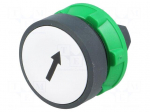 Switch: push-button | Stabl.pos: 1 | 22mm | white | Illumin: none | IP66