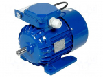 Motor: AC | 1-phase | 250W | 230VAC | 1340rpm | 1.78Nm | 6.3kg | IP54 | 2.5A