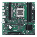 Asus PRO B650M-CT-CSM (gr&uuml;n)