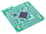 Multiadapter | Comp: STM32F207VGT6 | prototype board