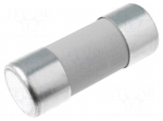 Fuse: fuse | gR | 63A | 690VAC | ceramic,cylindrical,industrial