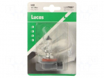 Filament lamp: automotive | PGJ19-1 | H8 | transparent | 12V | 35W | LLB