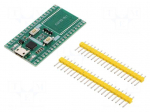 Accessories: adapter | ESP-32S