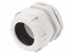 Cable gland | PG48 | IP68 | polyamide | light grey