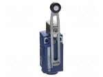 Limit switch | NO + NC | 10A | max.250VAC | max.250VDC | 1/2" NPT | IP67