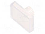 Actuator lens | 22mm | 61 | transparent | plastic | Dim: 18x24mm