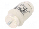 Fuse: fuse | gG | 80A | 500VAC | 500VDC | ceramic | DIV | D