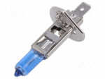 Filament lamp: automotive | P14,5s | blue | 12V | 100W | H1 | two bulbs